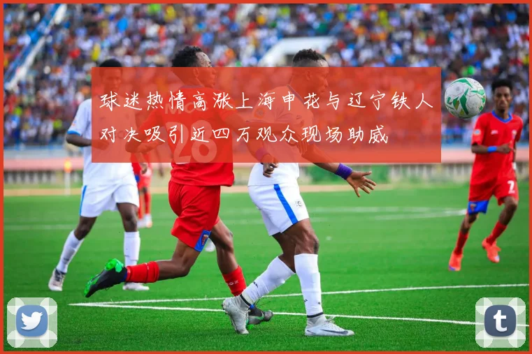 球迷热情高涨上海申花与辽宁铁人对决吸引近四万观众现场助威